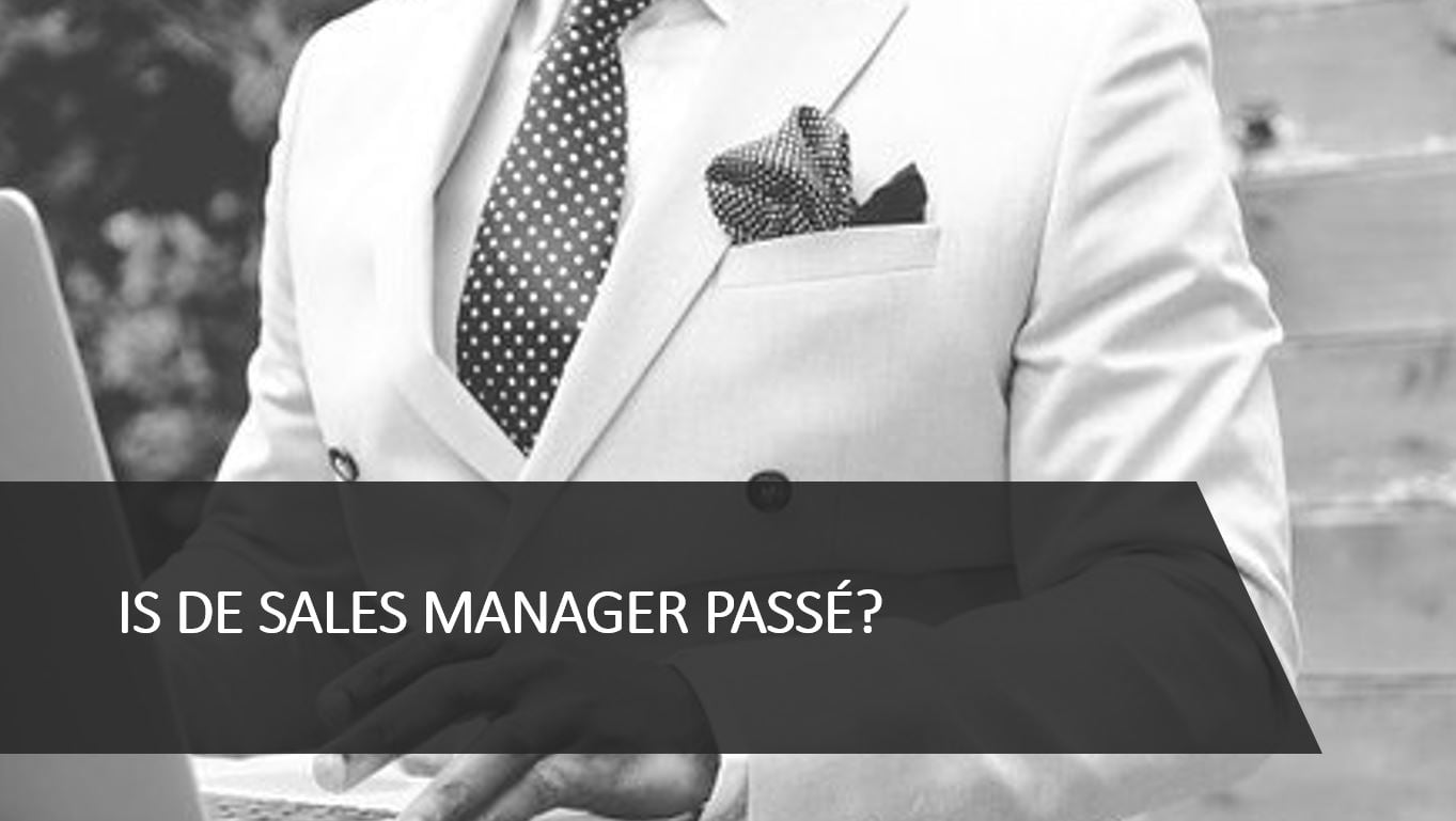 is de Sales-Manager-passé - Company Optimizer