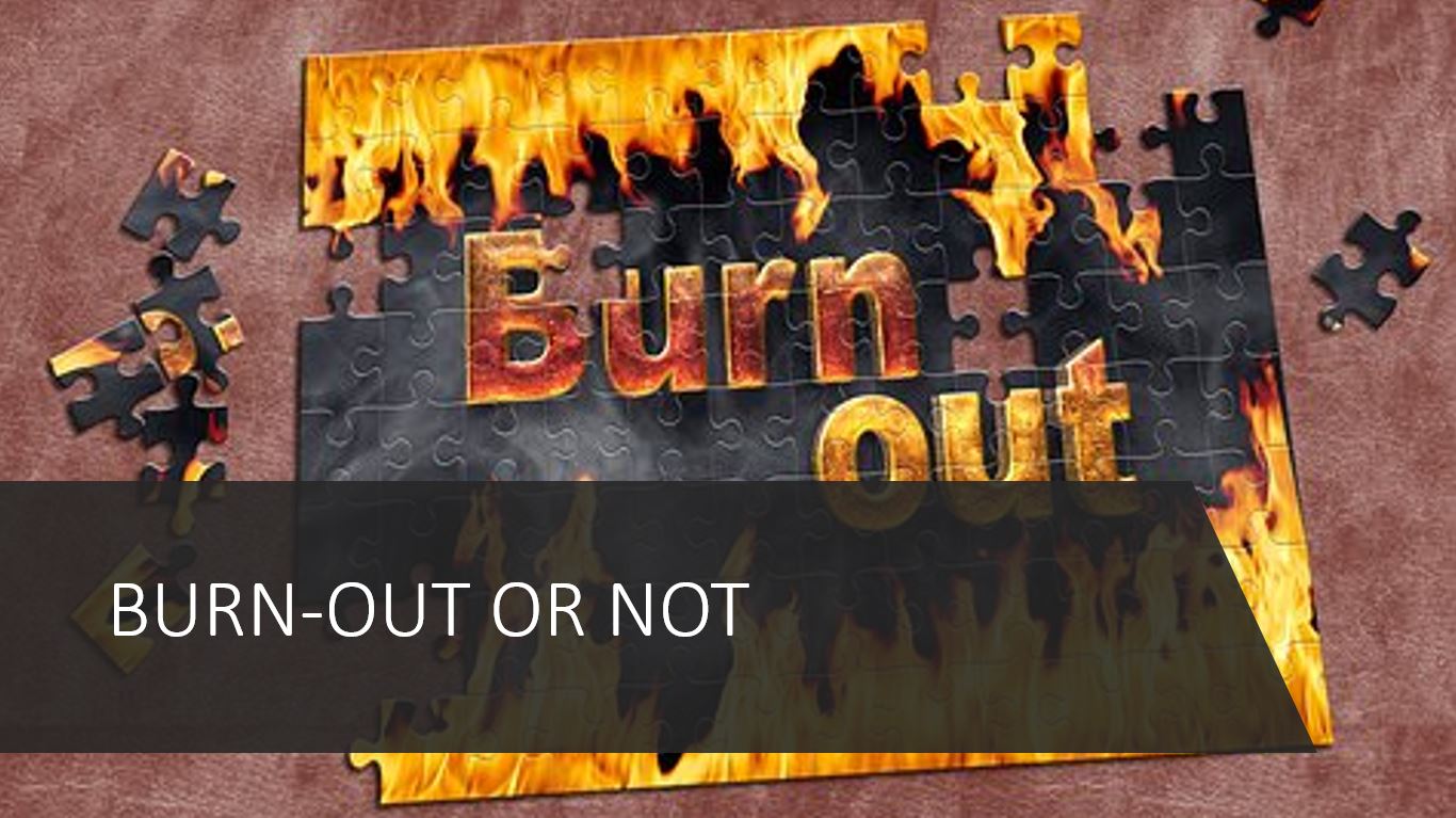 Burn-out or not -company optimizer